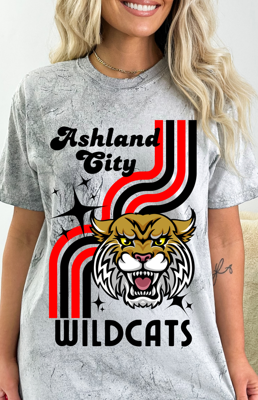 Retro Mascot Ashland City Wildcats